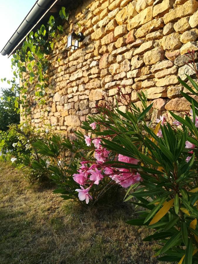 Bed and Breakfast O Reve De Gabriel Saint-Amand-de-Coly Zewnętrze zdjęcie